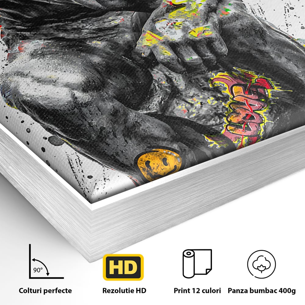 Detaliu al suprafetei: tablou canvas cu statuia ganditorul, in rama de aluminiu argintiu
